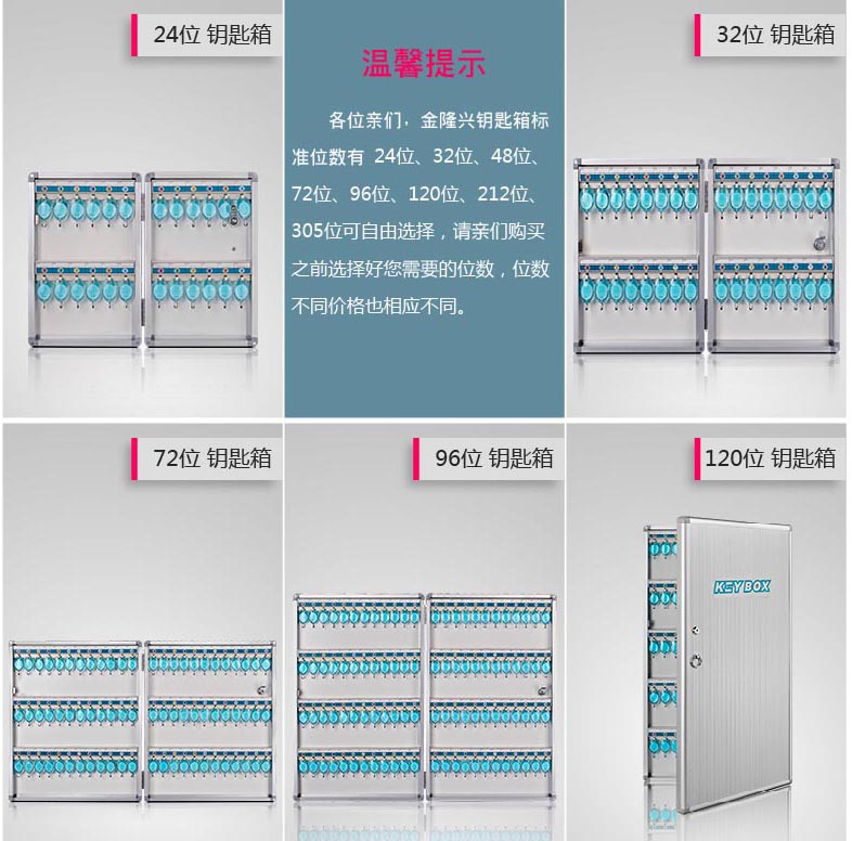 jjssg金隆兴壁挂式铝合金属竖纹面钥匙柜 (6)