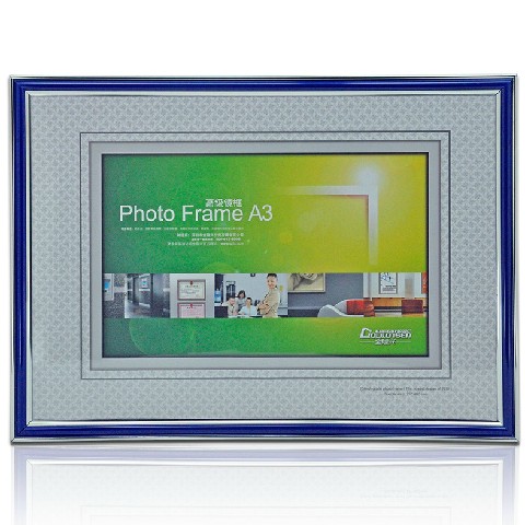 金隆兴A3镜框2 金隆兴A3镜框2