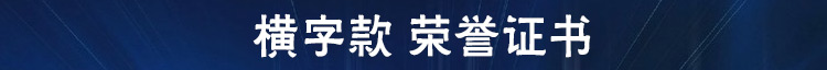 红色绒面竖版荣誉证书奖状 分隔线