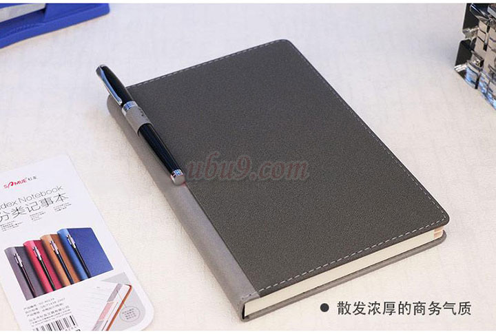 杉友SU16139-25139分类仿皮记事本-(13) 实景拍摄